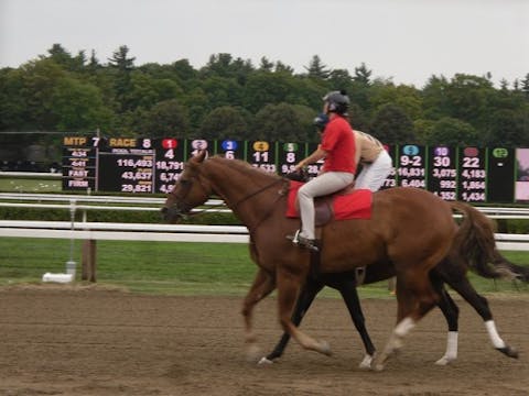 Tips for betting on horses