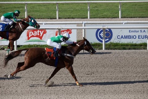 Tips for betting on horses