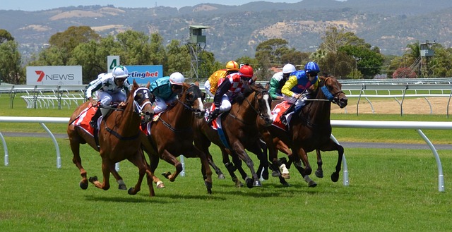 A Profitable Day At The Track: 5 Tips For Betting On Horses