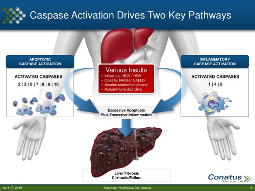 150415_CNAT_Needham-page-005
