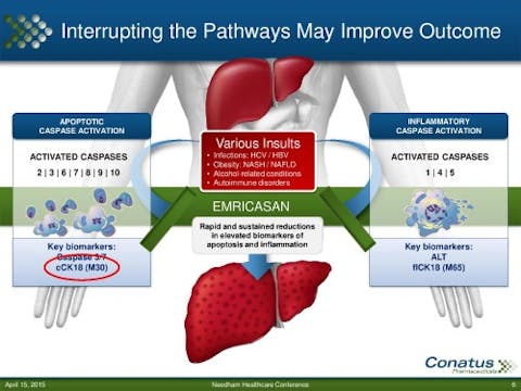 150415_CNAT_Needham-page-006