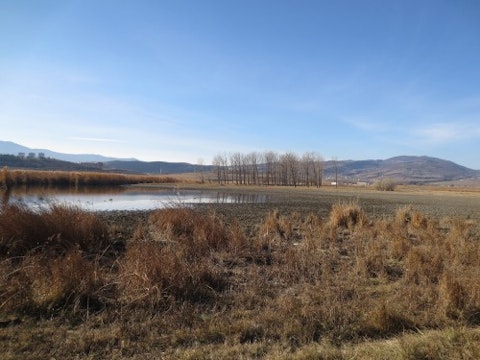 Georgia - tbilisi-lake-wilderness