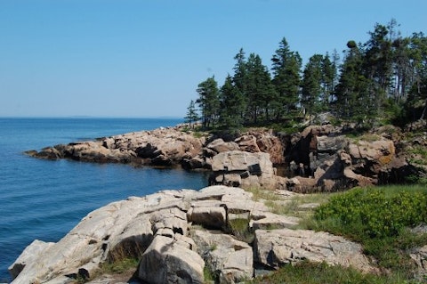 Maine sea nature