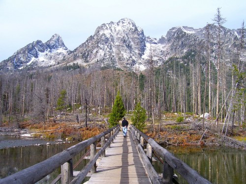 Wayoming - grand-teton-national-park-
