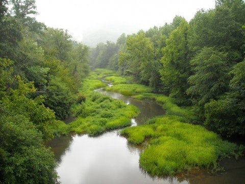 alabama- trees-river-green-landscape