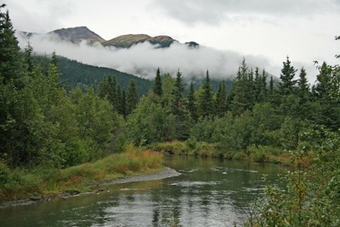 alaska-forsest-water-mountain-landscape