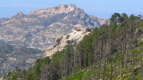 arizona-mountain-forest-landscape