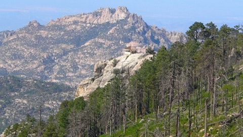 arizona-mountain-forest-landscape