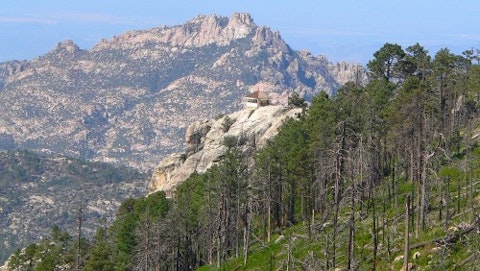 arizona-mountain-forest-landscape