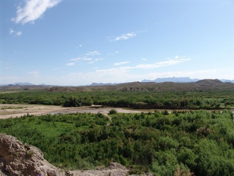 big-bend-national-park-Texas-forest