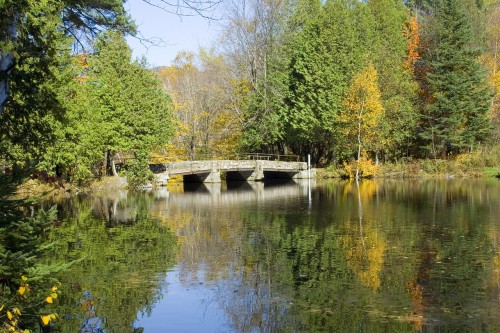 bridge-stone-pond-Vermont-water-scenic-nature