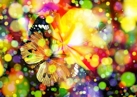 butterfly-407746_1280
