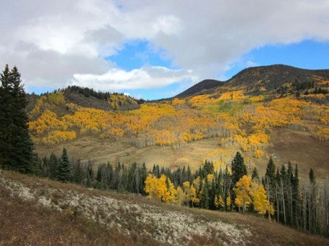 colorado-forest-mountain-landscape