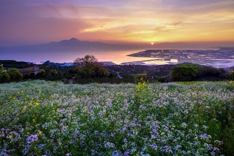 hill-of-the-narcissist-Japan