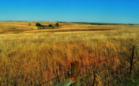 nebraska-plains -plants-rural-countryside