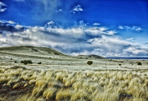 new-mexico-plants, landscape, rural, countryside