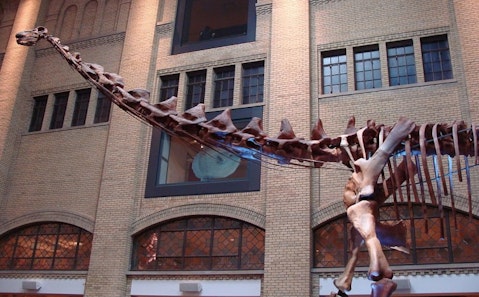 1024px-'Futalognkosaurus