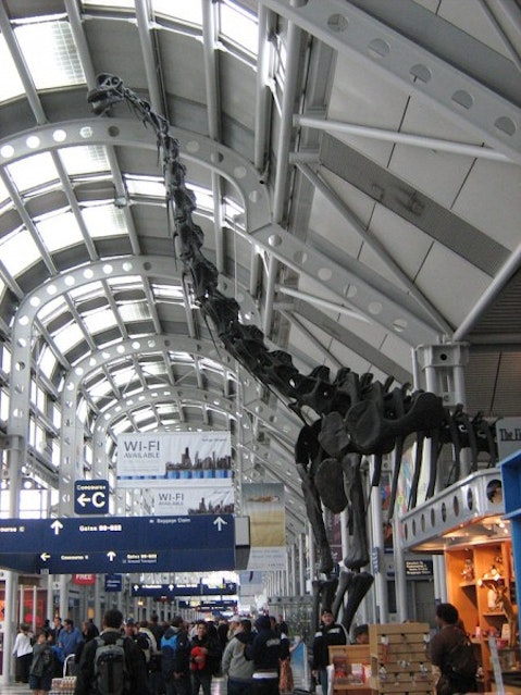 640px-Brachiosaurus_altithorax_airport3