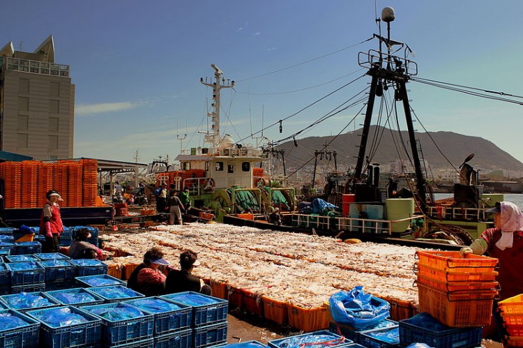 800px-BUSAN_PORT_SOUTH_KOREA_OCT_2012_(8228625371)