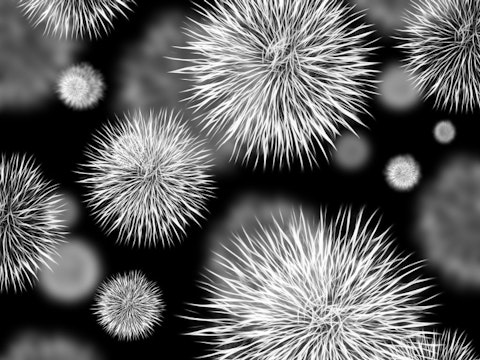 bacteria-426998_1280