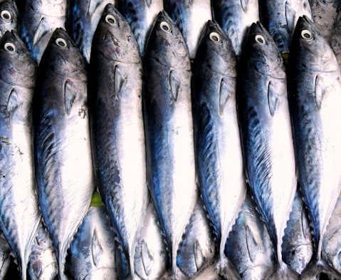 Consume fish in Finland