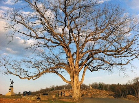 gettysburg-245293_640
