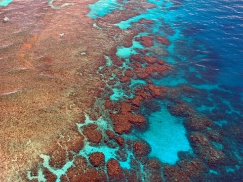 great-barrier-reef-261726_640