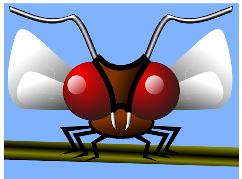 mosquito-162173_1280