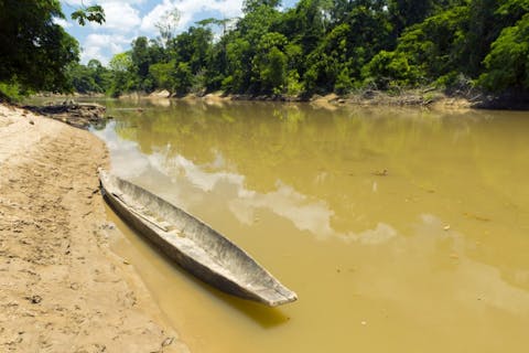 Dr. Morley Read/Shutterstock.com