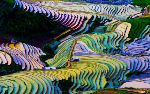 8 Countries that Produce the Most Rice in the World