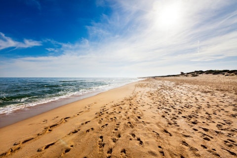 australia, beach, shore, imprint, mark, hanging, travel, stroll, silence, foot, horizon, waves, freedom, walk, footstep, tracing, seashore, sea, footprint, ground, vacations, sand