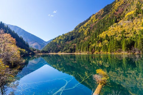 Bule Sky Studio/Shutterstock.com