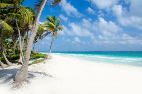 tropical, beach, leisure, holiday, sand, palm