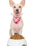 6 Most Expensive Dog Food Brands