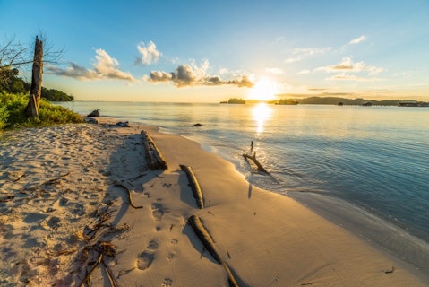 Fabio Lamanna/Shutterstock.com