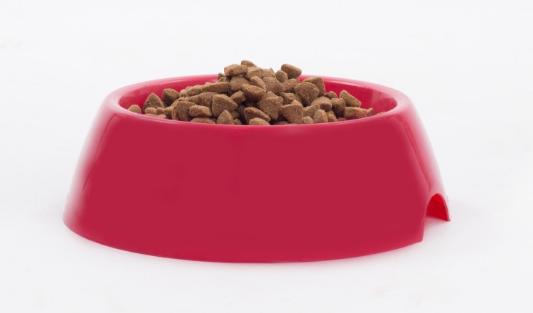 The most sales expensive dog food