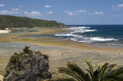 Yoshihiro Miyagi/Shutterstock.com