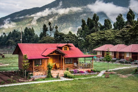 Christian Vinces/Shutterstockc.com