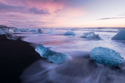 ZinaidaSopina/Shutterstock.com