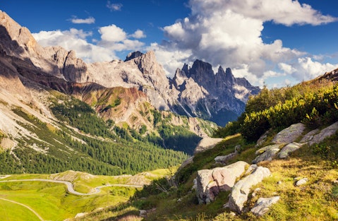 switzerland, outdoor, sunlight, meadow, wonderland, green, autumn, travel, italy, scenery, sun, season, heaven, wonderful, forest, color, tourism, background, peak, mountain
