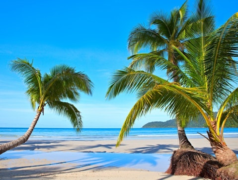 Maria Skaldina/Shutterstock.com