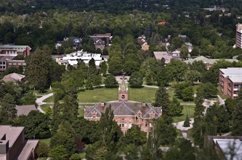 Linda Roberts/Shutterstock.com