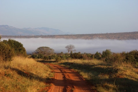 tsavo-111701_1280