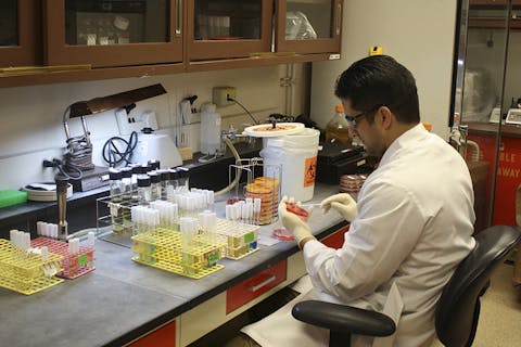 Top Pharmaceutical Companies in India