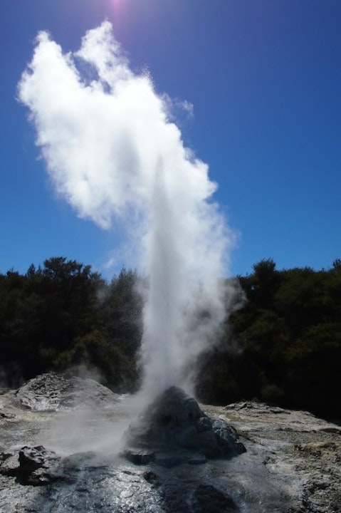 Lady Knox Geyser new zeland