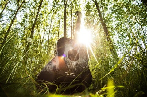 acoustic-guitar-407214_1280