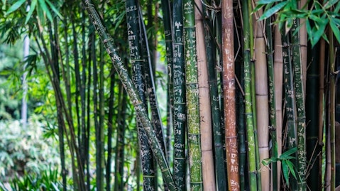 bamboo-142635_1280