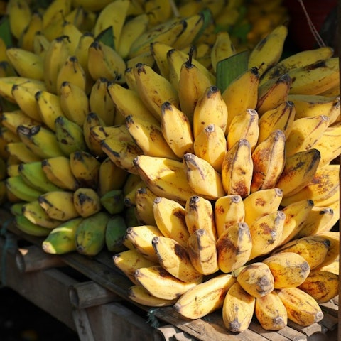10 Countries that Export The Most Bananas in The World