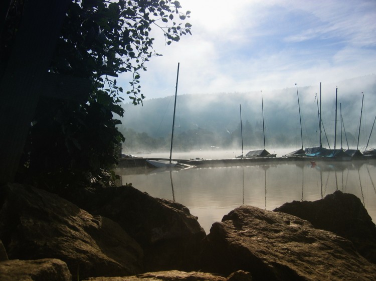 black-forest-123640_1280