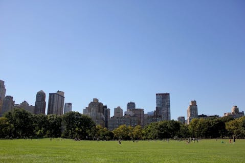 central-park-748629_1280